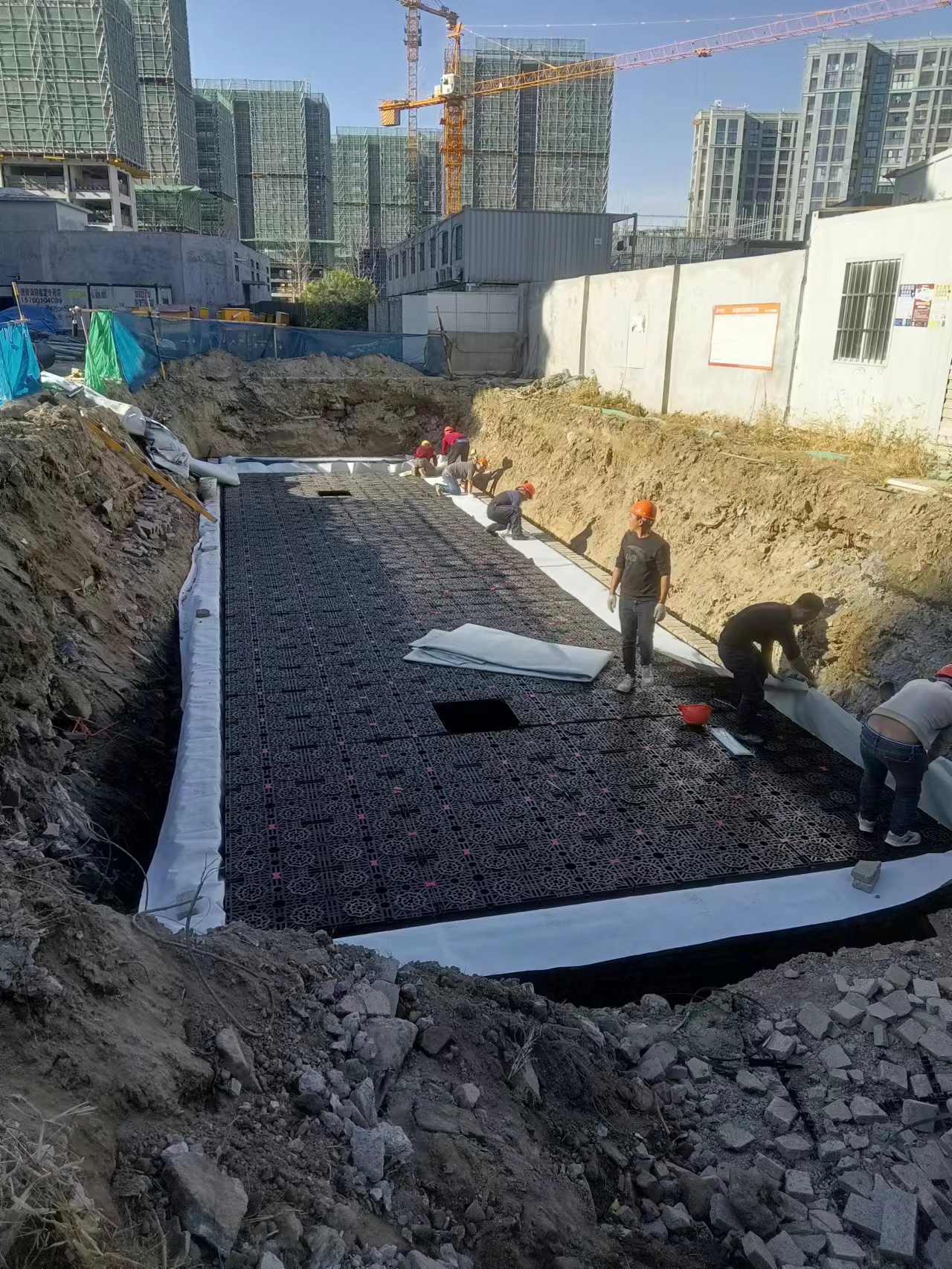 1703214564178008.jpg 3.jpg